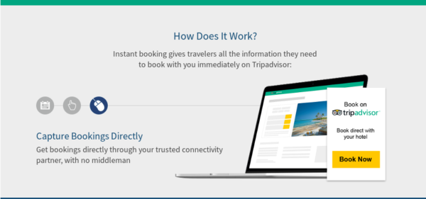 TripAdvisor: Sponsored Placements and Business Advantage